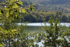 IMG_2563