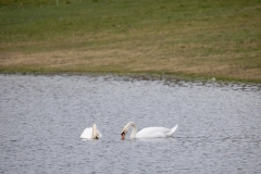 IMG_8134-20