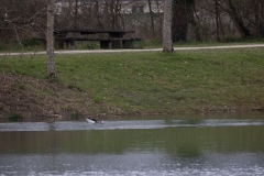 IMG_8137-22