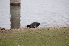 IMG_8231-73