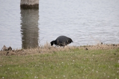 IMG_8233-74