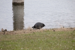 IMG_8234-75