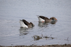 IMG_8235-76