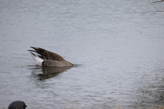 IMG_8240-80
