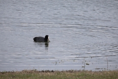 IMG_8249-87