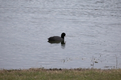 IMG_8250-88