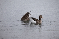 IMG_8265-95