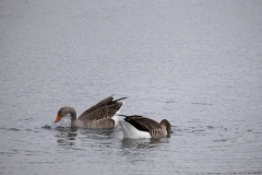 IMG_8267-97
