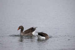 IMG_8268-98