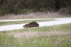 IMG_8352-144
