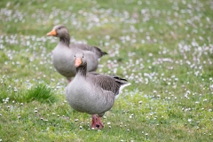 IMG_8582-253