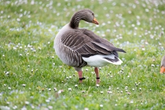 IMG_8587-256