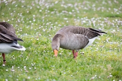IMG_8591-258