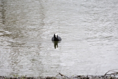 IMG_8607-263