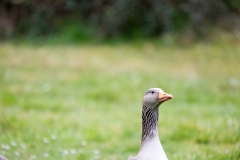 IMG_8625-270