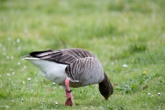 IMG_8641-272