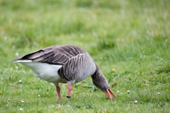 IMG_8644-273