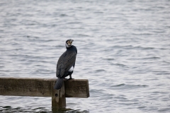 IMG_8669-283