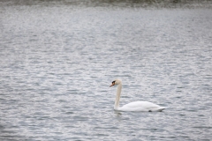IMG_8685-287