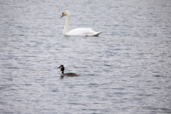IMG_8688-289