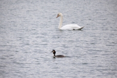 IMG_8689-290