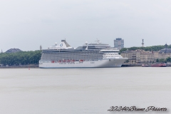 IMG_5681-1