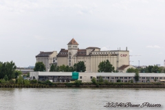 IMG_5684-3