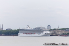 IMG_5701-8