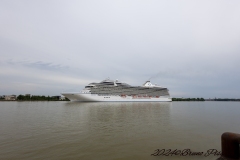 IMG_5904-68