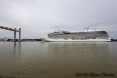 IMG_5908-70
