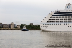 IMG_6004-89