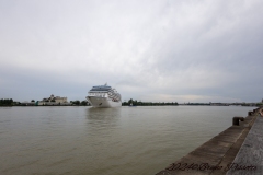 IMG_6071-98