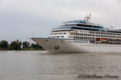 IMG_6081-100