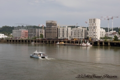 IMG_5547-21