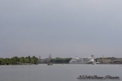 IMG_5637-46