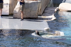 IMG_0747-201
