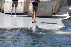 IMG_0750-204