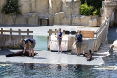 IMG_0824-270