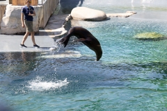 IMG_0830-276