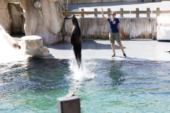IMG_0833-279