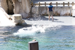 IMG_0836-282