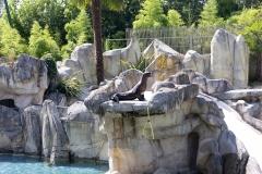IMG_0846-292