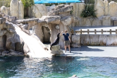 IMG_0857-299