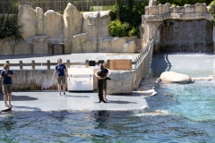 IMG_0860-302