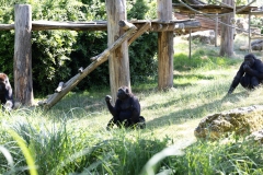 IMG_0873-312