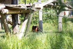 IMG_0891-327