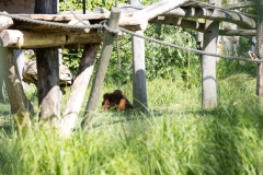 IMG_0893-329