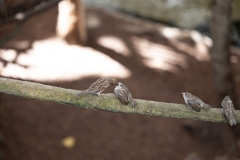 IMG_1001-423